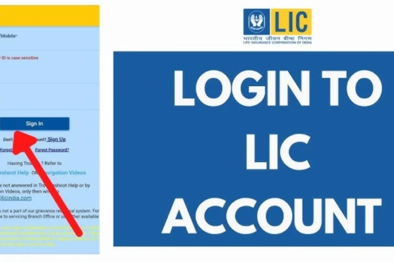 LIC Merchant Portal: A Complete Guide